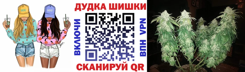 Бошки Шишки план  Кизилюрт 